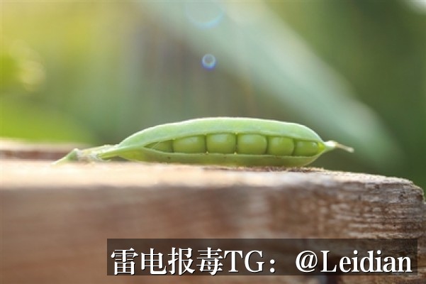 荣耀手机安装风险安全整改-从报毒排查到误报申诉的完整技术指南